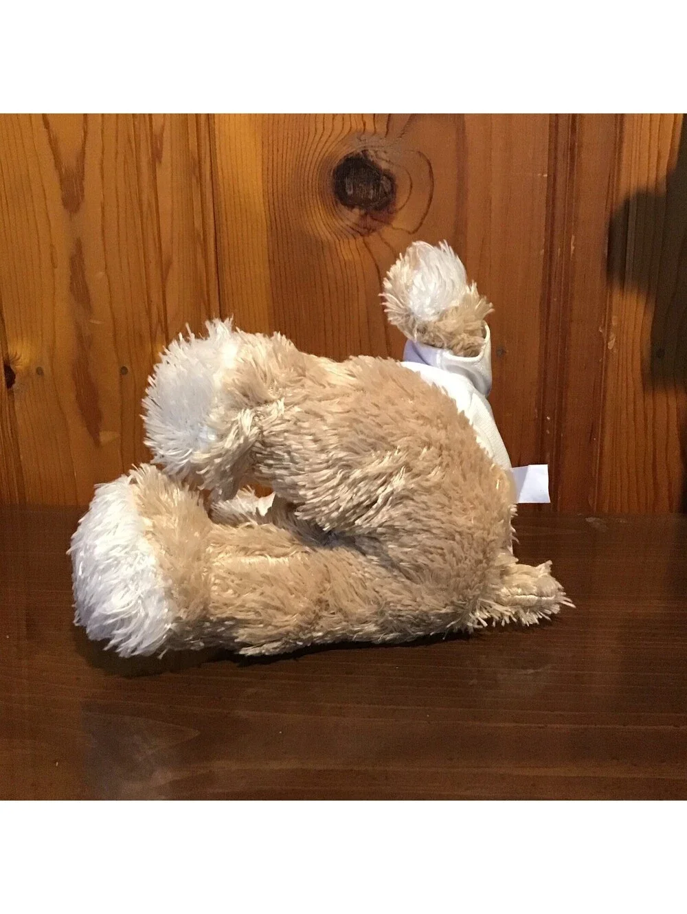 DFB Germany Soccer Teddy Bear Plush Trade Con GmbH Bremen White Jersey Fan Toy